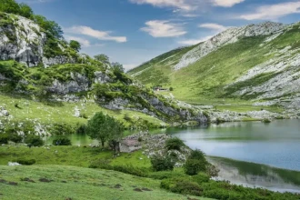 Mountain Wetlands: The Emerging Mercury Hotspots Threatening Ecosystems