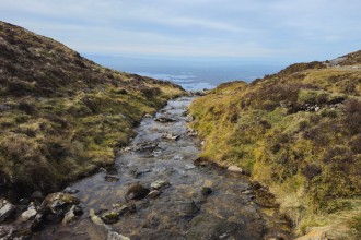 Ireland Faces Continued Challenges in Protecting Waterways, Environmental Network Warns
