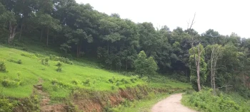 Gandaki Province Resumes Scientific Forest Management After Five Years