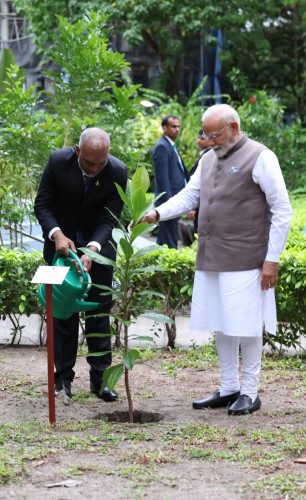 India and Maldives Deepen Green Ties as Modi and Muizzu Plant Saplings in Malé