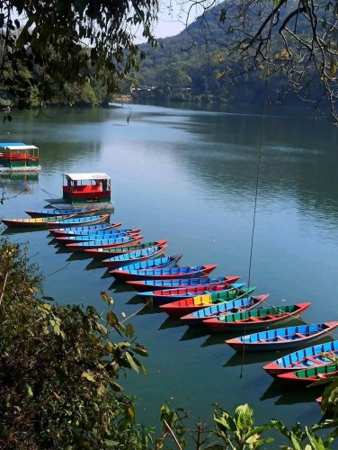 Government Forms Committee to Assess Encroachment Around Phewa Lake’s 65-Meter Zone