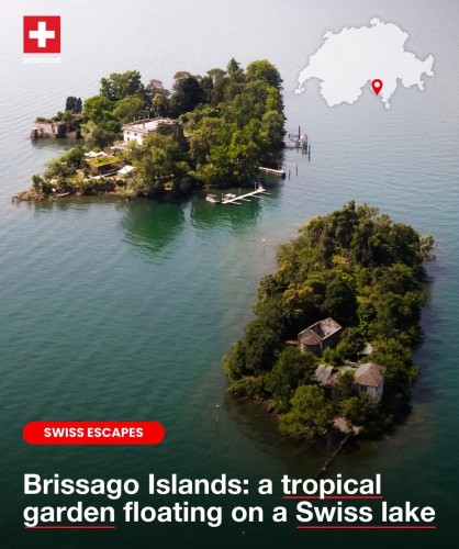Brissago Islands: A Mediterranean Microclimate Blooming in Switzerland’s Lake Maggiore