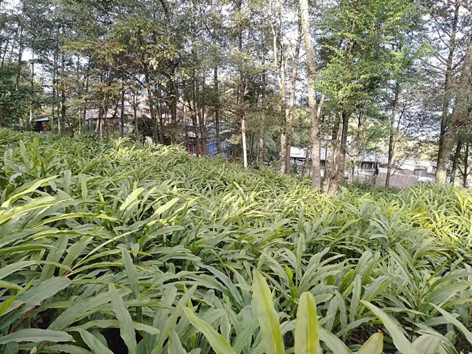 FB_IMG_1756721217257-1756721662.jpg